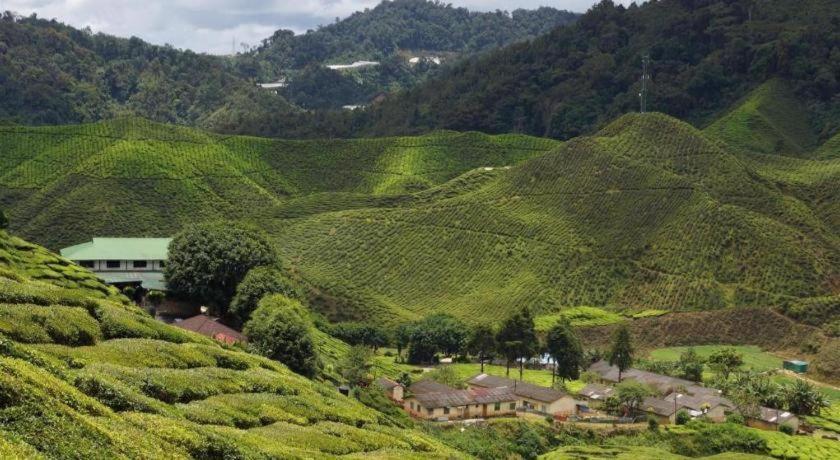 Krs Pines Hotel Cameron Highlands Exterior foto